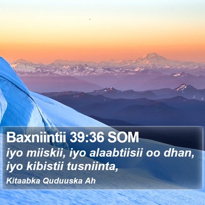 Baxniintii 39:36 SOM Bible Verse Image