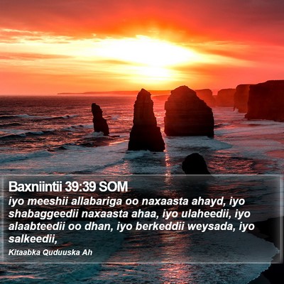 Baxniintii 39:39 SOM Bible Verse Image