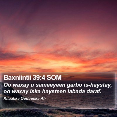 Baxniintii 39:4 SOM Bible Verse Image