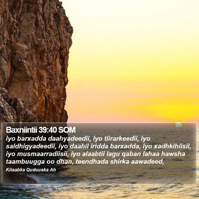 Baxniintii 39:40 SOM Bible Verse Image