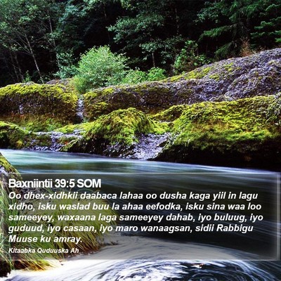 Baxniintii 39:5 SOM Bible Verse Image