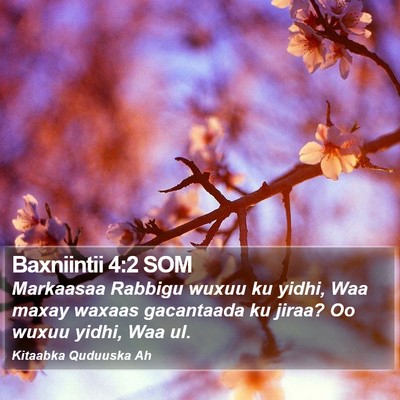 Baxniintii 4:2 SOM Bible Verse Image