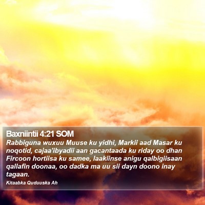Baxniintii 4:21 SOM Bible Verse Image
