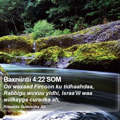 Baxniintii 4:22 SOM Bible Verse Image
