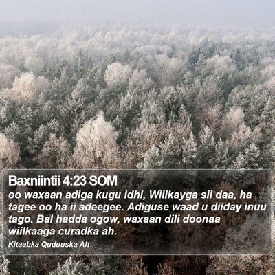 Baxniintii 4:23 SOM Bible Verse Image