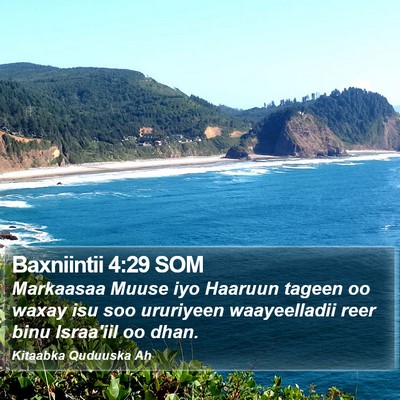 Baxniintii 4:29 SOM Bible Verse Image