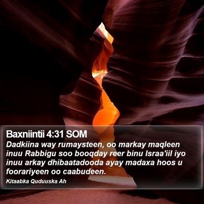 Baxniintii 4:31 SOM Bible Verse Image