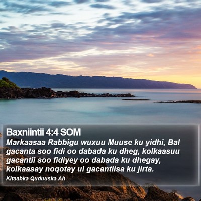 Baxniintii 4:4 SOM Bible Verse Image