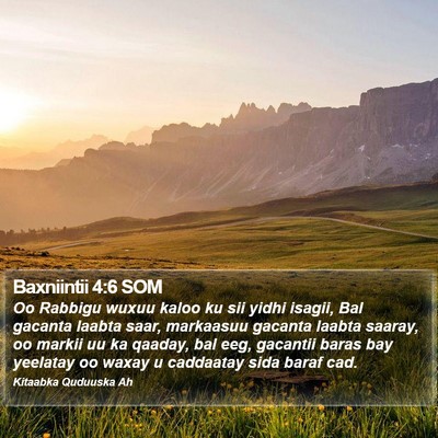 Baxniintii 4:6 SOM Bible Verse Image