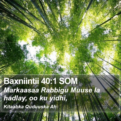 Baxniintii 40:1 SOM Bible Verse Image