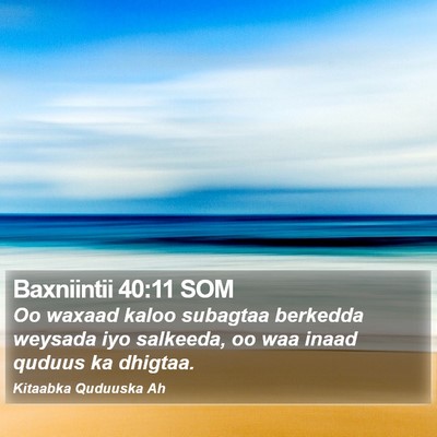 Baxniintii 40:11 SOM Bible Verse Image