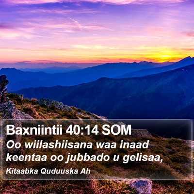 Baxniintii 40:14 SOM Bible Verse Image