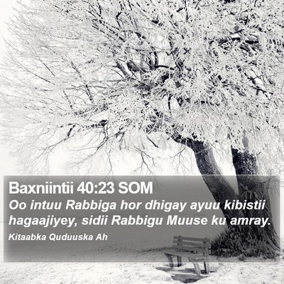 Baxniintii 40:23 SOM Bible Verse Image