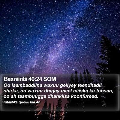 Baxniintii 40:24 SOM Bible Verse Image