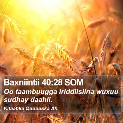 Baxniintii 40:28 SOM Bible Verse Image