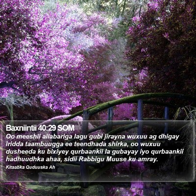 Baxniintii 40:29 SOM Bible Verse Image