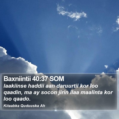 Baxniintii 40:37 SOM Bible Verse Image