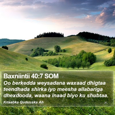 Baxniintii 40:7 SOM Bible Verse Image