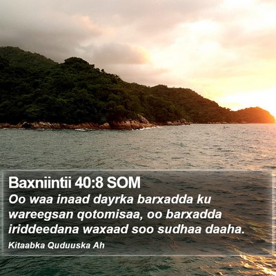 Baxniintii 40:8 SOM Bible Verse Image