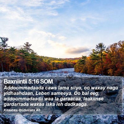 Baxniintii 5:16 SOM Bible Verse Image