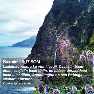 Baxniintii 5:17 SOM Bible Verse Image