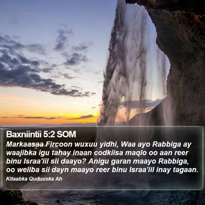 Baxniintii 5:2 SOM Bible Verse Image