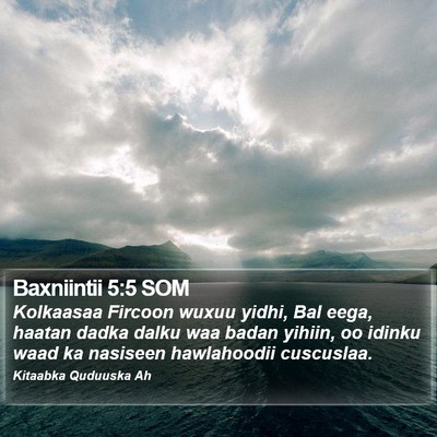 Baxniintii 5:5 SOM Bible Verse Image
