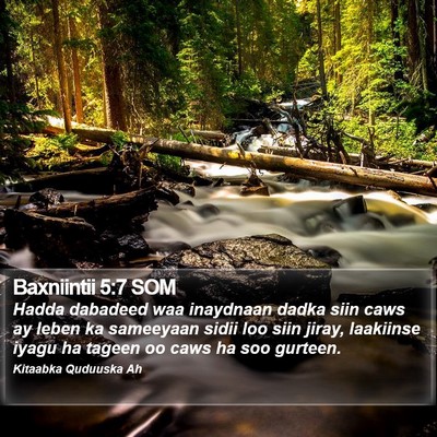 Baxniintii 5:7 SOM Bible Verse Image