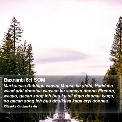 Baxniintii 6:1 SOM Bible Verse Image