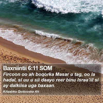 Baxniintii 6:11 SOM Bible Verse Image