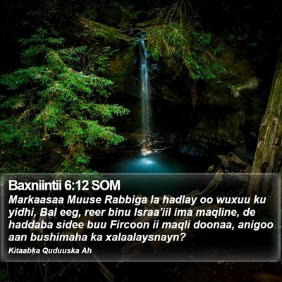 Baxniintii 6:12 SOM Bible Verse Image