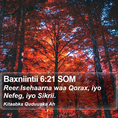 Baxniintii 6:21 SOM Bible Verse Image