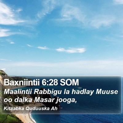 Baxniintii 6:28 SOM Bible Verse Image