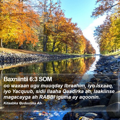 Baxniintii 6:3 SOM Bible Verse Image
