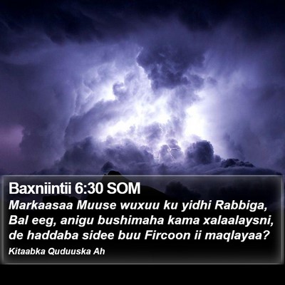 Baxniintii 6:30 SOM Bible Verse Image