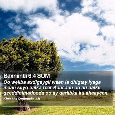 Baxniintii 6:4 SOM Bible Verse Image