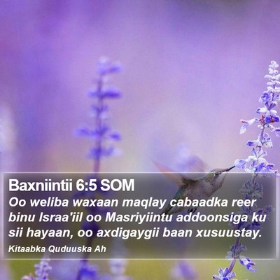Baxniintii 6:5 SOM Bible Verse Image