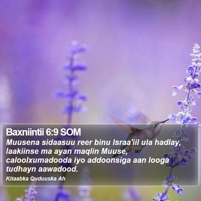 Baxniintii 6:9 SOM Bible Verse Image