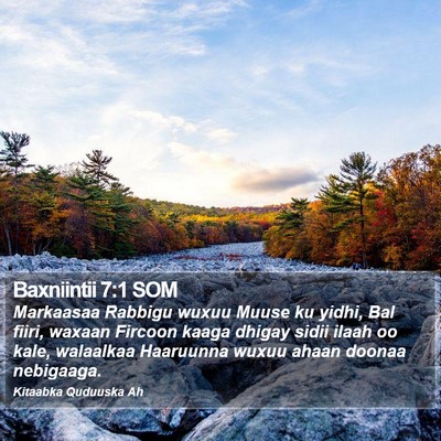 Baxniintii 7:1 SOM Bible Verse Image
