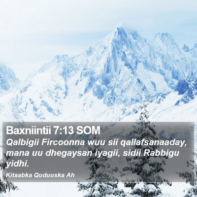 Baxniintii 7:13 SOM Bible Verse Image