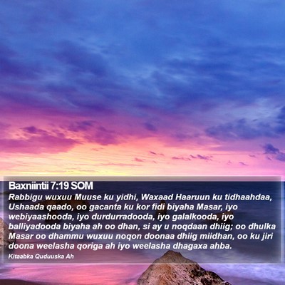 Baxniintii 7:19 SOM Bible Verse Image