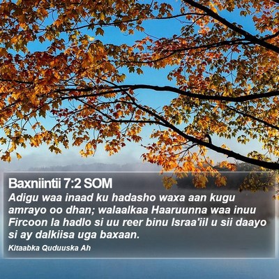 Baxniintii 7:2 SOM Bible Verse Image