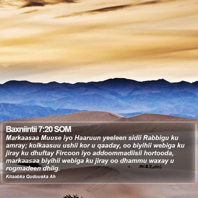 Baxniintii 7:20 SOM Bible Verse Image