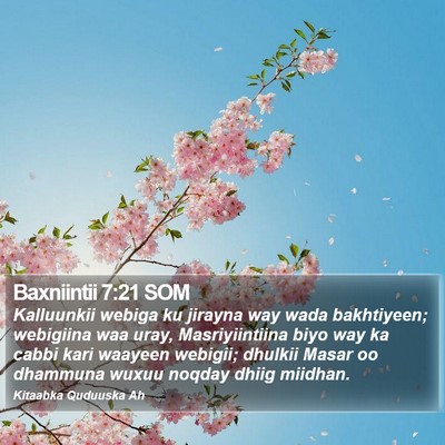Baxniintii 7:21 SOM Bible Verse Image