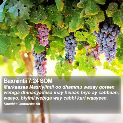 Baxniintii 7:24 SOM Bible Verse Image