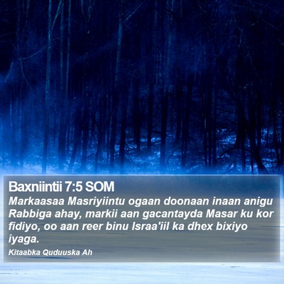 Baxniintii 7:5 SOM Bible Verse Image