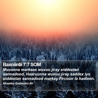 Baxniintii 7:7 SOM Bible Verse Image
