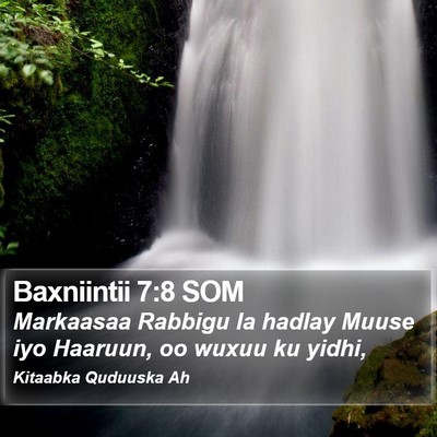 Baxniintii 7:8 SOM Bible Verse Image