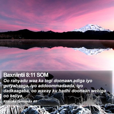 Baxniintii 8:11 SOM Bible Verse Image