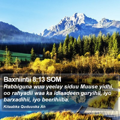 Baxniintii 8:13 SOM Bible Verse Image